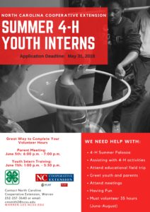 Cover photo for Summer 4-H Youth Interns