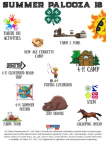 Cover photo for 2018 4-H Summer Palooza'18 Brochure