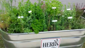 Cover photo for Join Our Weekly Online Garden Chat
