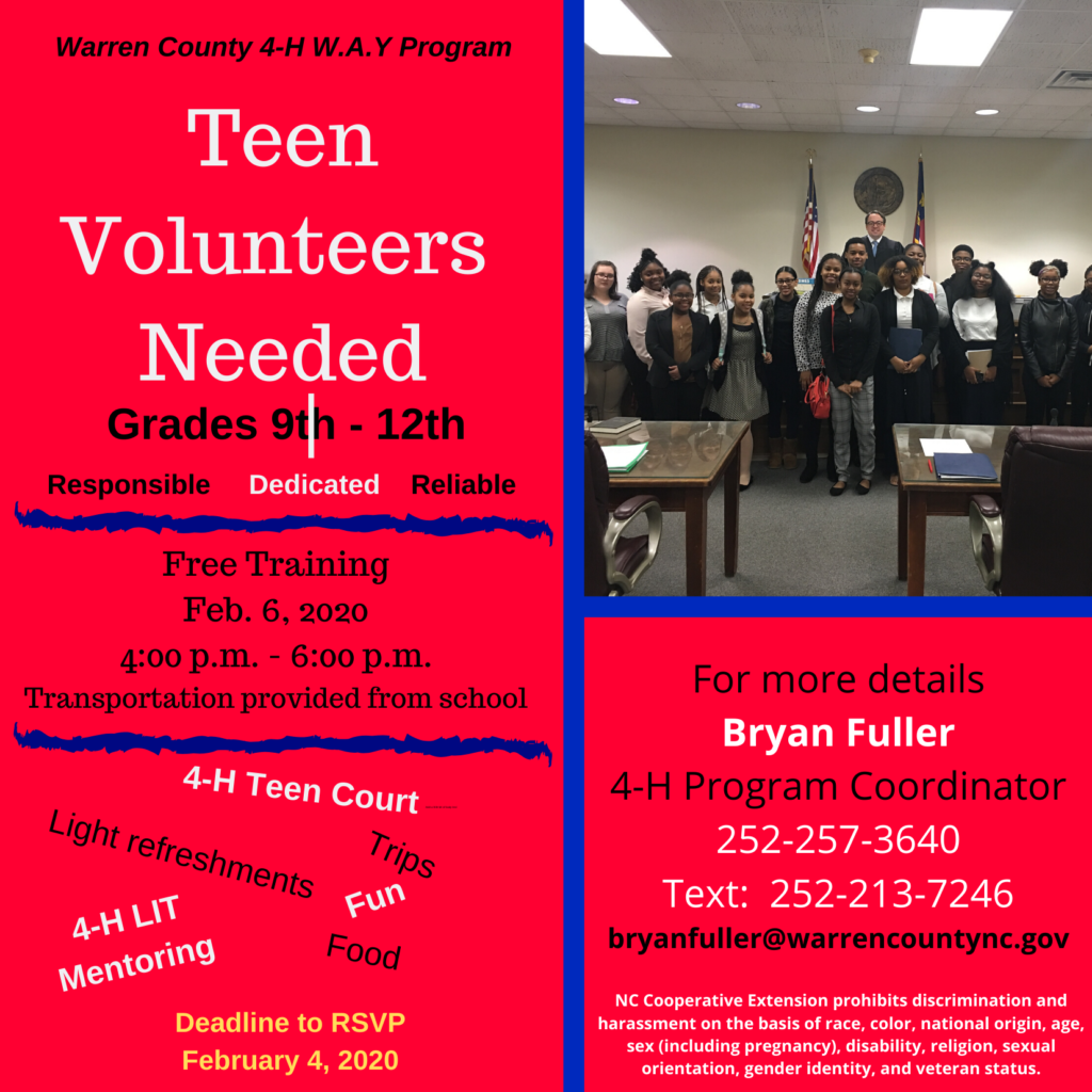 Teen Volunteers Needed poster