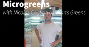 Image of Nic Cogliati in a greenhouse full of microgreens