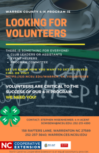 Cover photo for Looking for Adult Volunteers
