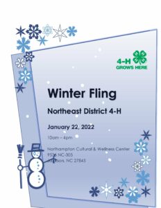 Cover photo for Northeast District Winter Fling