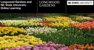 Cover photo for Self-Paced, Online Plant ID Classes Beginning March 21!