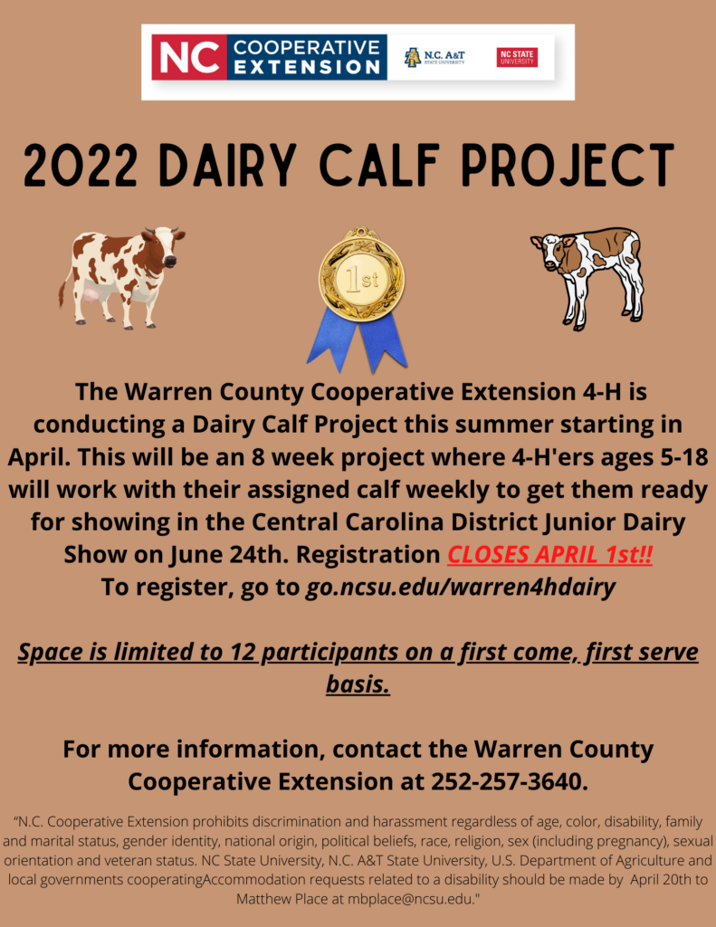 Dairy Calf Project flyer