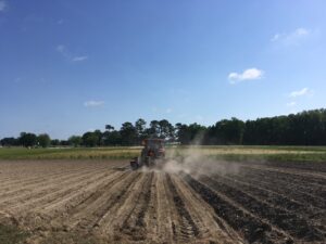 Cover photo for Data-Driven Updates on Soybean Seeding Rates in North Carolina